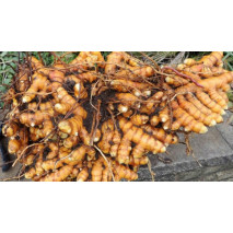 Raw Turmeric 